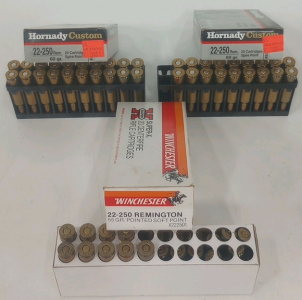 (38) Hornady Custom 22-250 REM 60 GR Ammunition Cartridges (9) Winchester 22-250 55gr Ammunition Cartridges