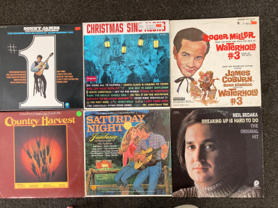 (18) Collectors Vinyl Records
