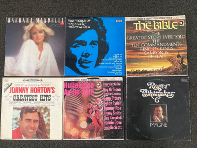 (25) 12&rdquo; Vinyl Records
