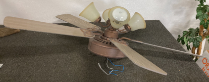 Ceiling Fan And Light Fixture