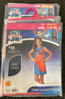 Space Jam girl Halloween costumes