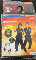 Cobra Kai and Skull Ninja Halloween costumes