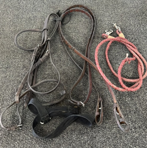 Leather Halter and Reins