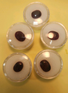 (5) Oval Cut Madagascar Ruby's
