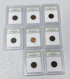 (8) International Numismatic Bureau San Francisco Mint Wheat Cent