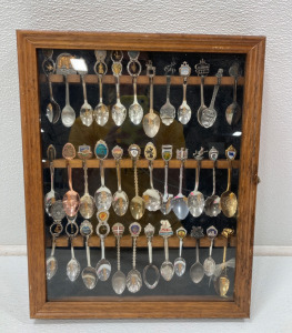 Collectors Spoons In Case