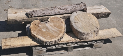 <MB> Raw Wood Slabs