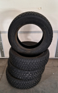 Pair of Winter Trax