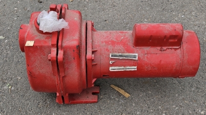 Pump Motor