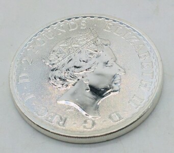 1 Troy Oz Fine Silver