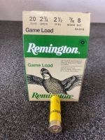 Remington Ammo