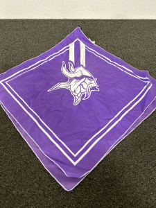 Minnesota Vikings Banners