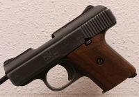 Raven MP-25 .25 Auto Mini-Pistol --1402083 - 5