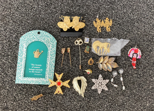 Assorted Pins and Earrings