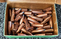 Sierra .25 CAL. 100gr. Spitzer - 3