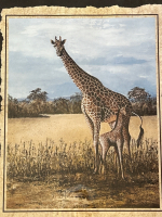 Framed Giraffe Print - 2