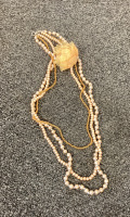 Long Necklaces (9)