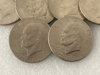 (10) Eisenhower Ike Dollars - 2