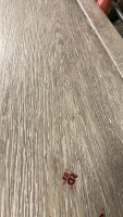 LVP Flooring - 4