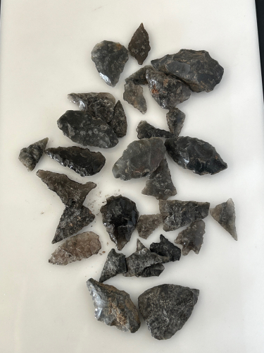 Native Arrowheads