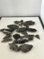 Native Arrowheads - 2