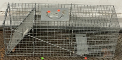 Little Giant Metal Animal Trap