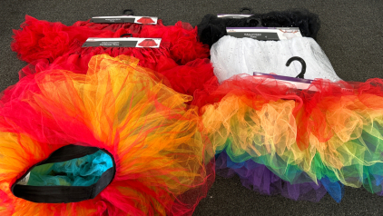 Women&rsquo;s Small/Medium Costume Tutus