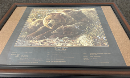 Momma Grizzly & Cubs Frames Print