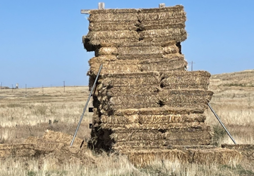 Valley East Fields (137) Bales Grass Hay- Located South of Boise