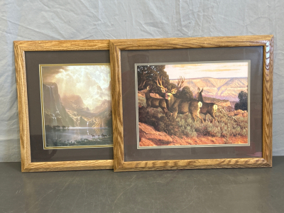 Pair of Framed 16”x 20” Wildlife Pictures