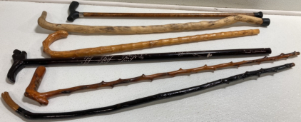 (6) Unique Wood Canes