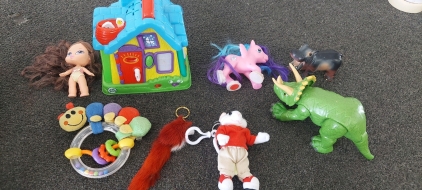 Tote of Toys and More