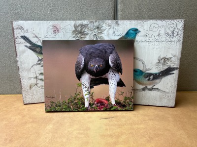 (3) Canvas Prints