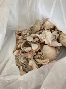 Bag of Sea Shells
