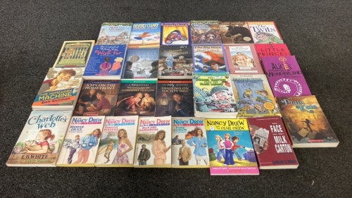 Box Of Young Reader Books