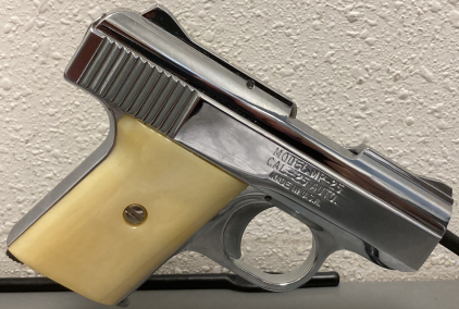 Raven Arms MP-25 .25 Auto Pistol&mdash; 1230774
