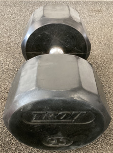Troy 95 LB Dumbbell