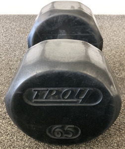 Troy 65 LB Dumbbell