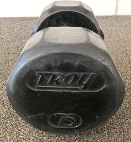 Troy 75 LB Dumbbell