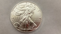 1 Troy Ounce .999 Fine Silver