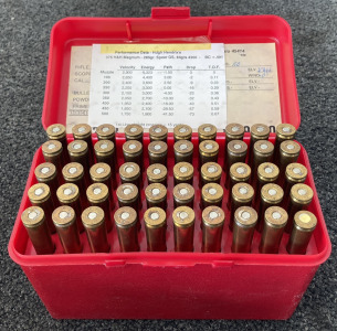 (50) Rnds 375 H&H Magnum Ammo In Caseguard Case