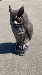 Owl Decoy Pest Control