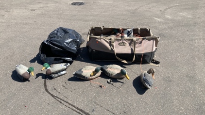 Duck Decoys