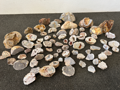 Rock Hounders Dream!!! TWO 5LB Buckets of Petrified wood, Agate, Quartz, Chert, possibly Agatized Coral and so much more!!! Quite a few have but cut but not polished, quite a few are ready for you to discover the beauty within!!!!!