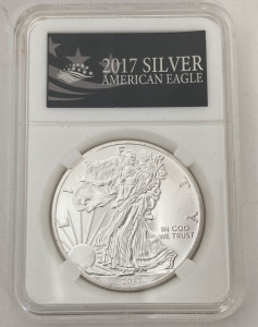 2017 American Silver Eagle Copy&mdash; Unable To Authenticate