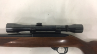 Ruger 10/22 Carbine, .22LR Semi Automatic Rifle - 9