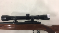 Ruger 77-22, .22LR Bolt Action Rifle - 9