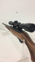 Ruger 10/22 Carbine, .22LR Semi Automatic Rifle - 3