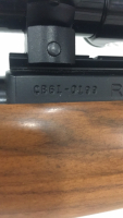 Ruger 10/22 Carbine, .22LR Semi Automatic Rifle - 7