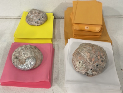 (3) Stacks Of White, Yellow, And Pink Construction Paper, (3) Large Sea Shells, (2) Stacks Of 9&rsquo;&rsquo; And 13&rsquo;&rsquo; Envelopes